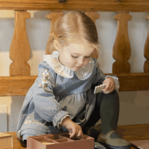 Vestido Bordado Jaretas Acero Mi Canesu